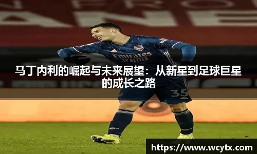 米兰体育